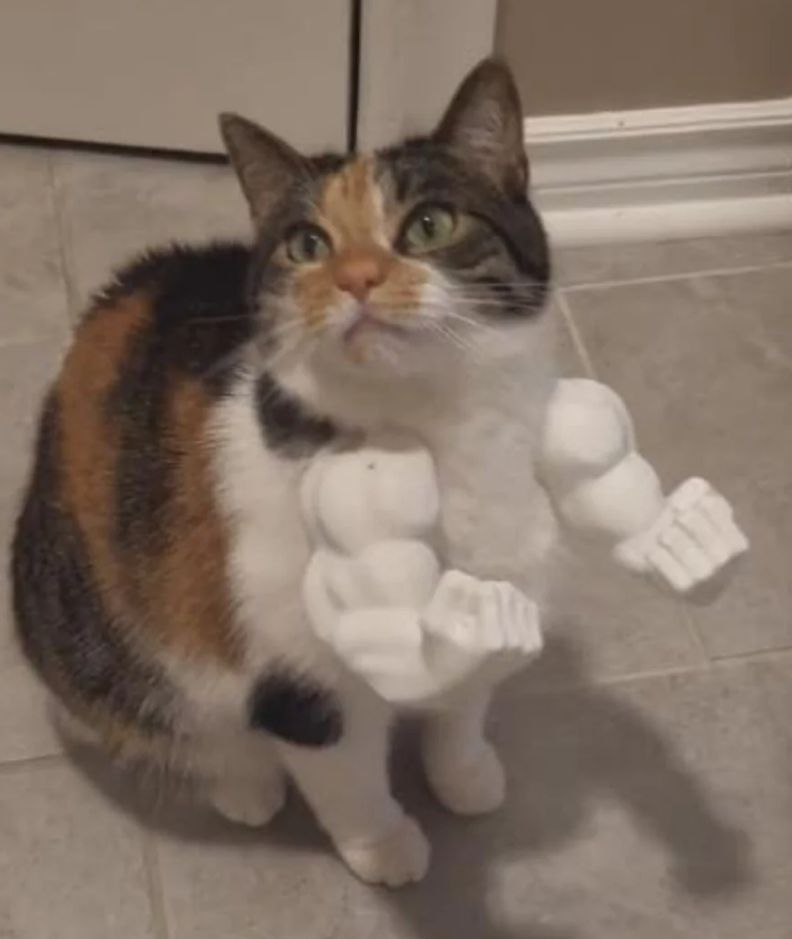 3D CAT Hulks Arms