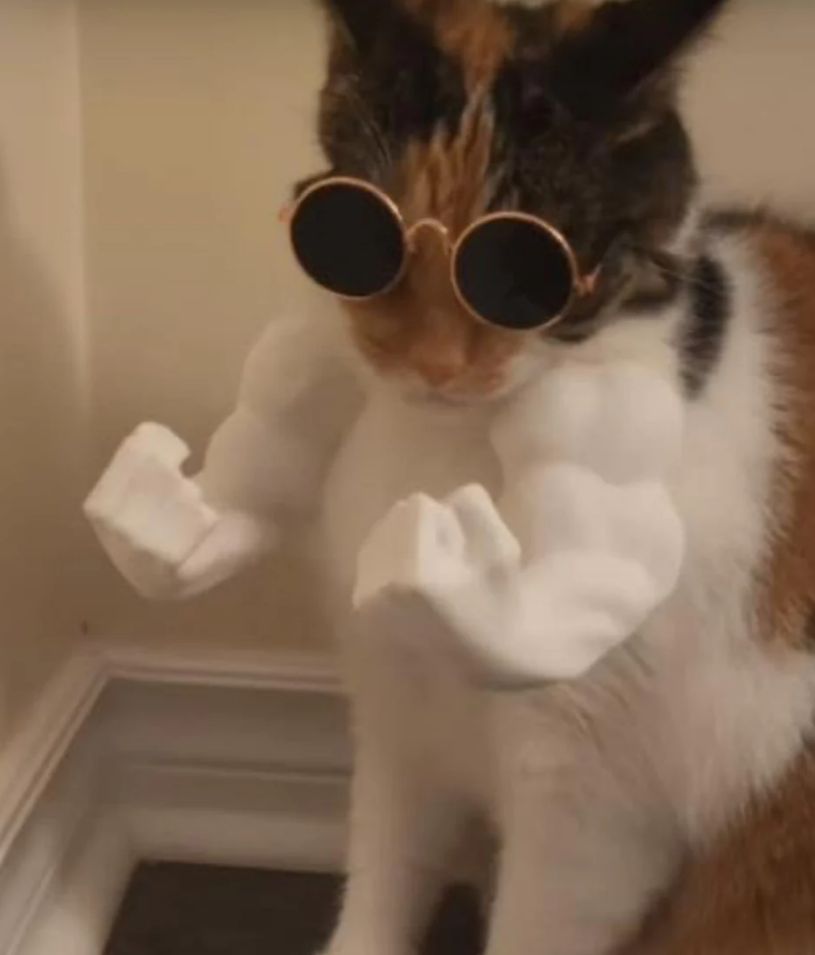 3D CAT Hulks Arms