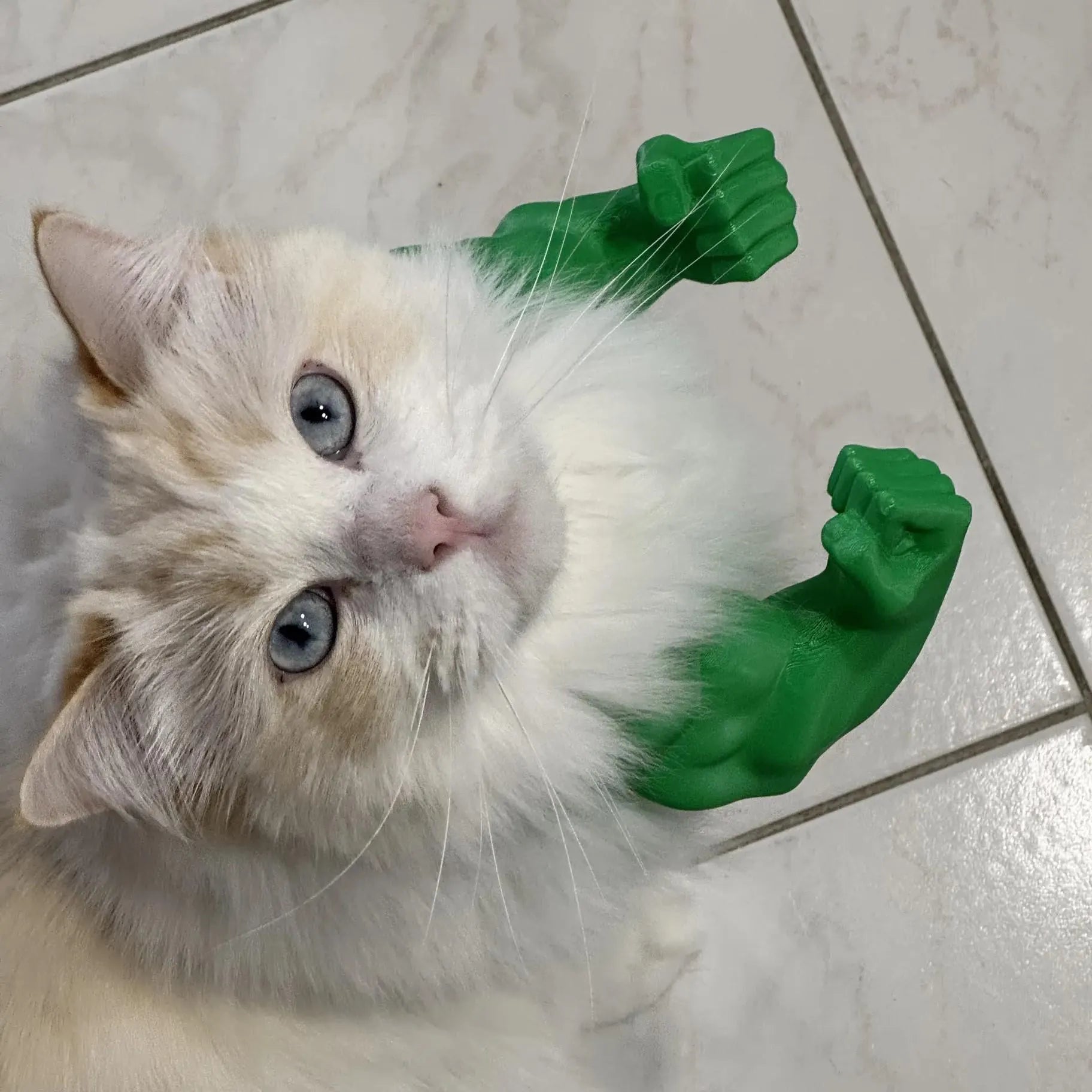 3D CAT Hulks Arms